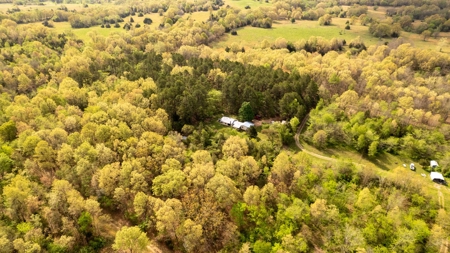 Country Home for sale in Alton Missouri - image 27