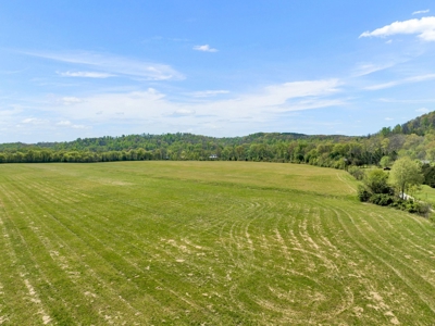 Land for Sale in Lewis County, Tennessee - image 14