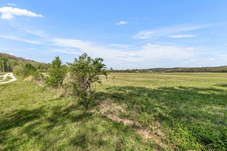 Land for Sale in Lewis County, Tennessee - image 9