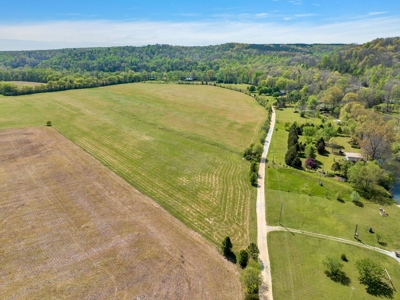 Land for Sale in Lewis County, Tennessee - image 10