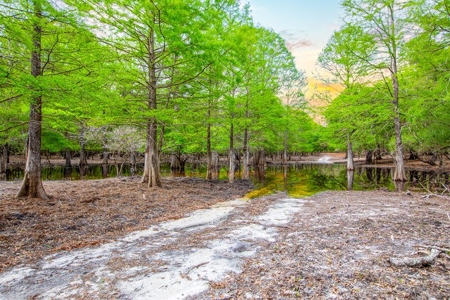 Licensed Hunting Preserve In Branford Florida For Sale!!! - image 38