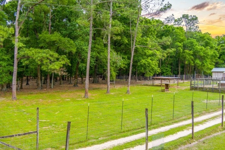 Licensed Hunting Preserve In Branford Florida For Sale!!! - image 26