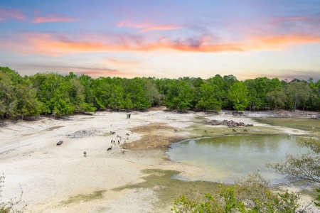 Licensed Hunting Preserve In Branford Florida For Sale!!! - image 33
