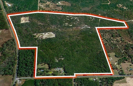 Licensed Hunting Preserve In Branford Florida For Sale!!! - image 20
