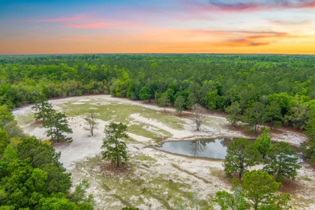 Licensed Hunting Preserve In Branford Florida For Sale!!! - image 30