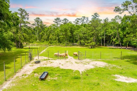 Licensed Hunting Preserve In Branford Florida For Sale!!! - image 23