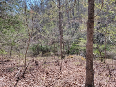 Offering #1 - Wooded Lot for Sale in Amherst VA - image 21