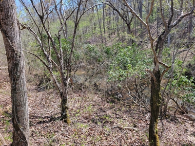 Offering #1 - Wooded Lot for Sale in Amherst VA - image 14