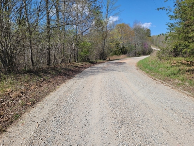 Offering #1 - Wooded Lot for Sale in Amherst VA - image 7