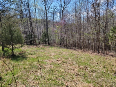 Offering #1 - Wooded Lot for Sale in Amherst VA - image 10
