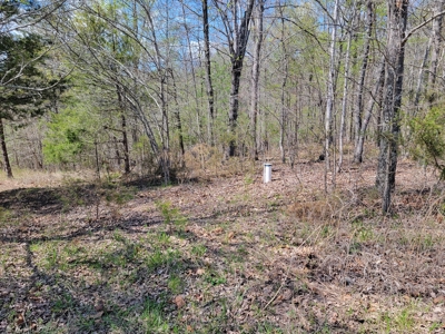 Offering #1 - Wooded Lot for Sale in Amherst VA - image 8