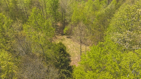 Offering #1 - Wooded Lot for Sale in Amherst VA - image 2