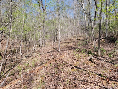Offering #1 - Wooded Lot for Sale in Amherst VA - image 12