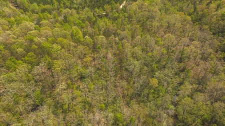Offering #1 - Wooded Lot for Sale in Amherst VA - image 4