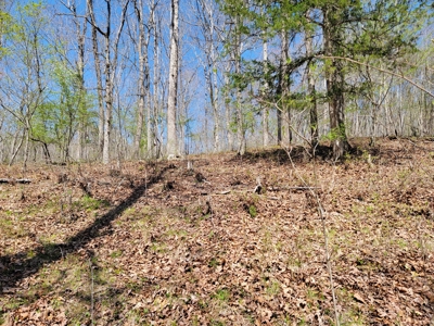 Offering #1 - Wooded Lot for Sale in Amherst VA - image 20