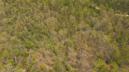 Offering #1 - Wooded Lot for Sale in Amherst VA - image 5