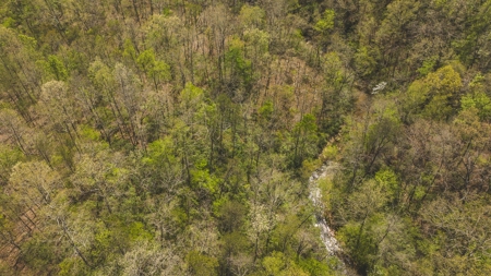 Offering #1 - Wooded Lot for Sale in Amherst VA - image 3