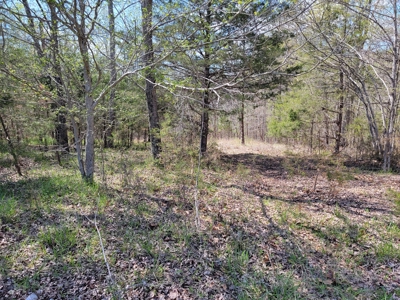 Offering #1 - Wooded Lot for Sale in Amherst VA - image 9