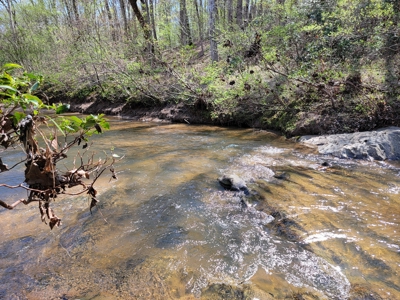 Offering #1 - Wooded Lot for Sale in Amherst VA - image 17