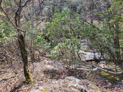 Offering #1 - Wooded Lot for Sale in Amherst VA - image 15