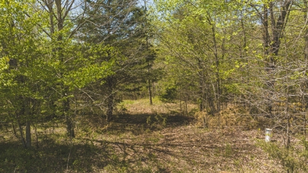 Offering #1 - Wooded Lot for Sale in Amherst VA - image 1