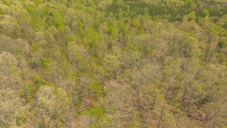 Offering #1 - Wooded Lot for Sale in Amherst VA - image 6