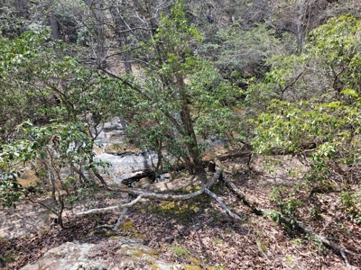 Offering #1 - Wooded Lot for Sale in Amherst VA - image 16