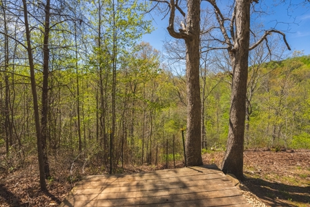 Offering #2 - Log Home for Sale in Amherst VA - image 5