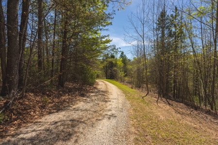 Offering #2 - Log Home for Sale in Amherst VA - image 12