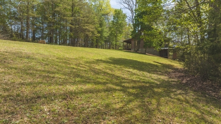 Offering #2 - Log Home for Sale in Amherst VA - image 3