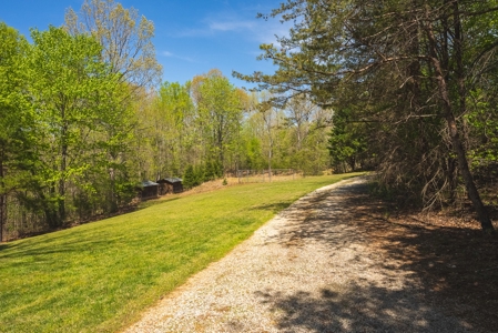 Offering #2 - Log Home for Sale in Amherst VA - image 10