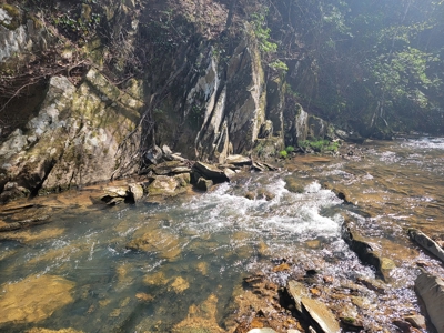 Offering #3 - Recreational Tract for Sale in Amherst VA - image 31