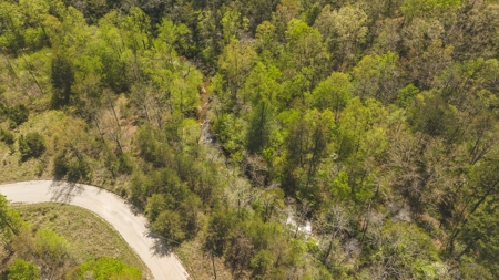 Offering #3 - Recreational Tract for Sale in Amherst VA - image 1