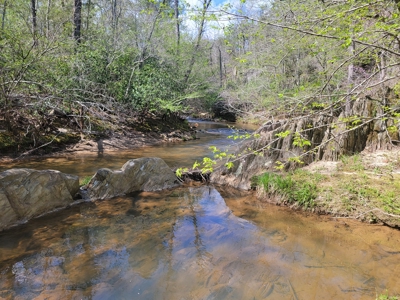 Offering #3 - Recreational Tract for Sale in Amherst VA - image 24
