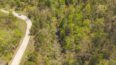 Offering #3 - Recreational Tract for Sale in Amherst VA - image 2