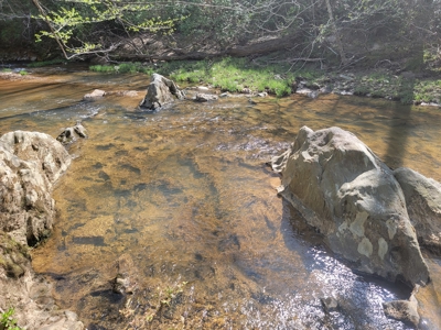 Offering #3 - Recreational Tract for Sale in Amherst VA - image 22
