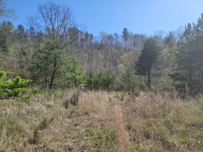 Offering #3 - Recreational Tract for Sale in Amherst VA - image 13