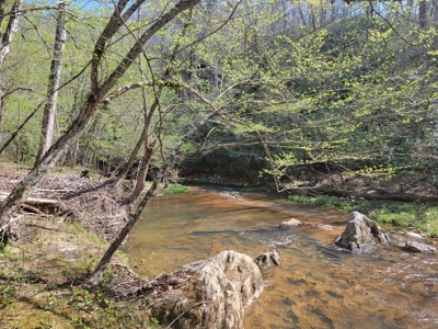 Offering #3 - Recreational Tract for Sale in Amherst VA - image 21