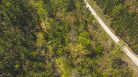 Offering #3 - Recreational Tract for Sale in Amherst VA - image 10