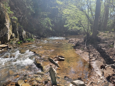 Offering #3 - Recreational Tract for Sale in Amherst VA - image 33