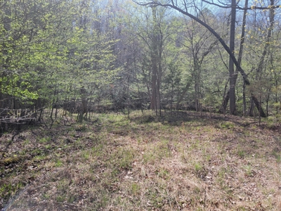 Offering #3 - Recreational Tract for Sale in Amherst VA - image 19