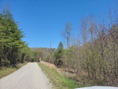 Offering #3 - Recreational Tract for Sale in Amherst VA - image 28