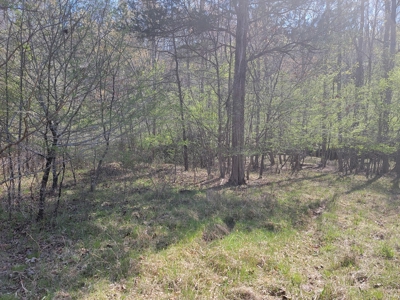Offering #3 - Recreational Tract for Sale in Amherst VA - image 14