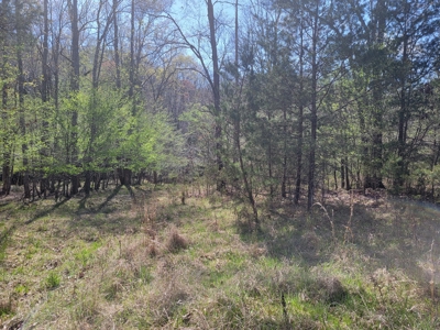 Offering #3 - Recreational Tract for Sale in Amherst VA - image 15