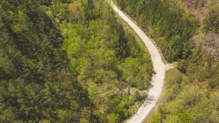 Offering #3 - Recreational Tract for Sale in Amherst VA - image 9