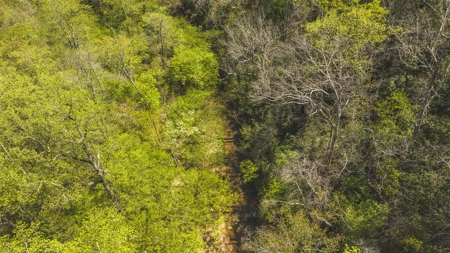 Offering #3 - Recreational Tract for Sale in Amherst VA - image 4