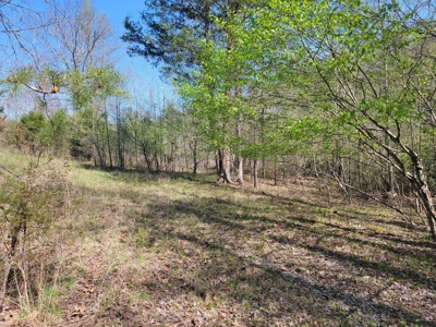 Offering #3 - Recreational Tract for Sale in Amherst VA - image 17