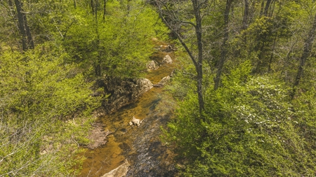 Offering #3 - Recreational Tract for Sale in Amherst VA - image 3