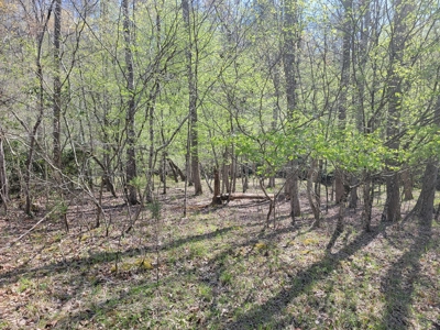 Offering #3 - Recreational Tract for Sale in Amherst VA - image 16