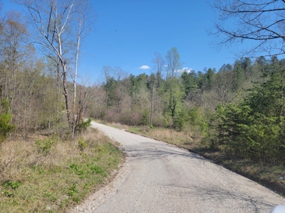 Offering #3 - Recreational Tract for Sale in Amherst VA - image 12